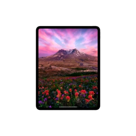 Apple iPad Pro M4 2024 13 2 ТБ Wi-Fi+LTE, нанотекстурное стекло, «черный космос»